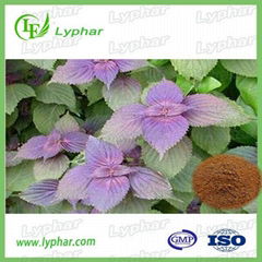 Manufacturer Provide High Purity Perillae Extract Lyphar