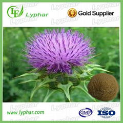 Manufacturer Provide High Purity Milk Thistle Extract 80% 98% Lyphar