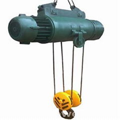 CD And MD Electric Hoist