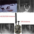 12MP 4G Cellular Hunting Trail camera sending 30s video reading local time 3