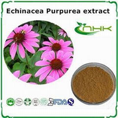 Echinacea Purpurea Extract