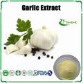 Garlic Extract