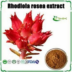 Rhodiola Rosea Extract