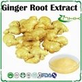 Ginger Root Extract 1