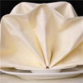 Polyester Napkin