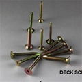 Deck Screw