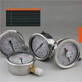 Pressure Gauge For Tank Containers 1