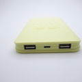 Wholesale 2 USB portable polymer power bank with plastic shell