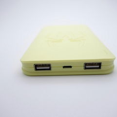 Wholesale 2 USB portable polymer power bank with plastic shell