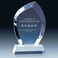 Best quality clear custom models acrylic trophy 1