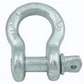 Screw Pin Anchor Shackles