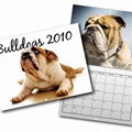 Wall Calendars 1