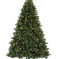 Christmas Tree Led Outdoor