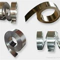 Stainless Steel Strip 1