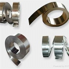 Stainless Steel Strip