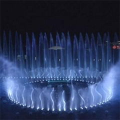 Beautiful water fountain show in the theme park