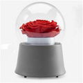 Red Rose Music Boxes 1