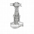 stop check valve of power station valves