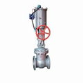 Pneumatic power station gate valve