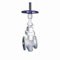 Manual flat gate valve of power station