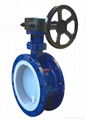 Flange Fluorine-butterfly valve 1