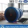 St1250 Heat-Resistant Conveyor Belt of