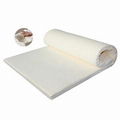 Pressure Release Memory Foam Mattress 1