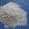 Refractory Coating