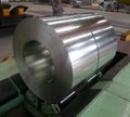 Steel coils  3