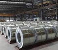 Galvanized Steel Coil