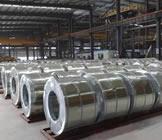 Galvanized Steel Coil