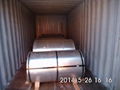 Galvanized Steel Coil 5