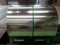 Galvanized Steel Coil 2