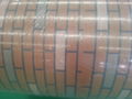 Pre Painted Sheet Coil 1