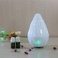 Glass Essential Oil Diffuser