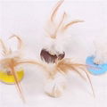 Cat Feather Toys