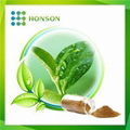 Tea Polyphenols 1