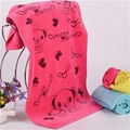 Microfiber Pinic Towel