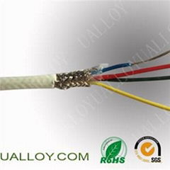 Rtd Cable