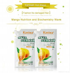 Mango Nutrition and Biochemistry Perm