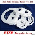 PTFE Seals