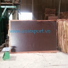 Construction plywood