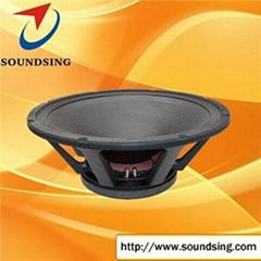 High Power 24" Pro Speaker