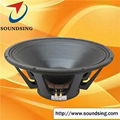 Good Price 21 Inch Speaker 1