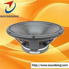 18" Live Sound Speakers