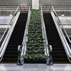 Indoor Escalator