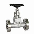 Monel Gate Valve 1