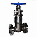 Titanium Gate Valve