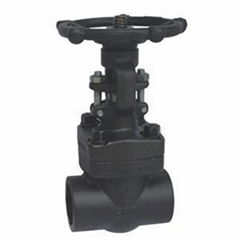 Socket Weld Forged Steel Gate Valve