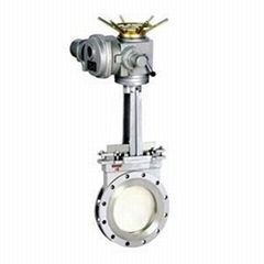 Slurry Knife Gate Valve